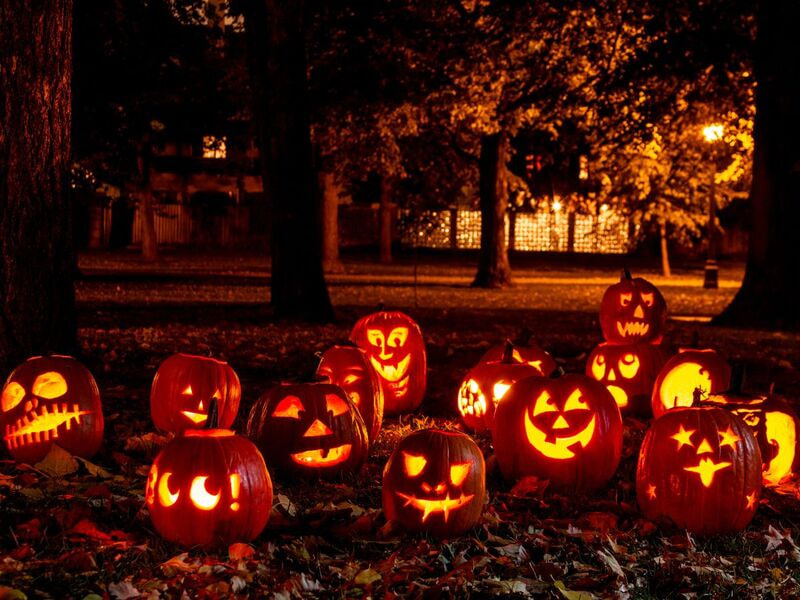 Quả bí ngô - Biểu tượng lễ hội Halloween không thể thiếu