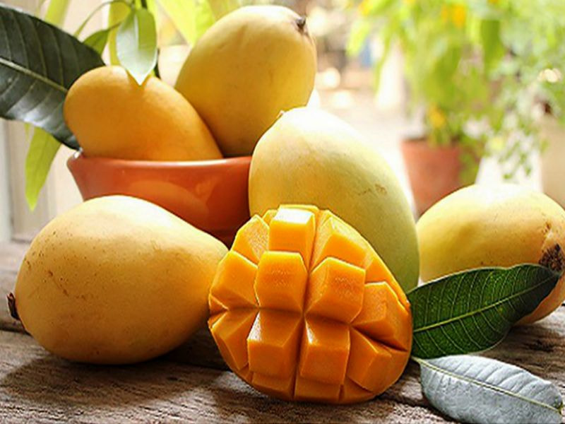 Rào cản và thách thức trong xuất khẩu xoài sang Trung Quốc