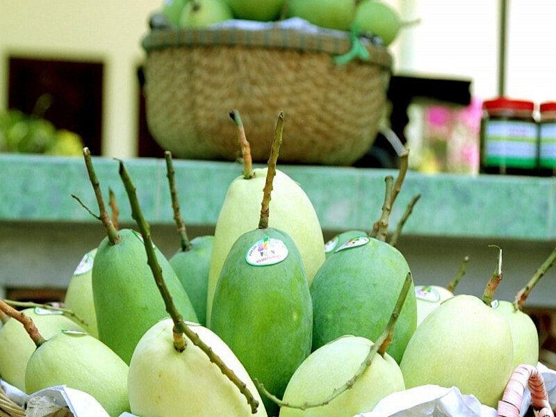 Tiềm năng thị trường xuất khẩu xoài sang Trung Quốc