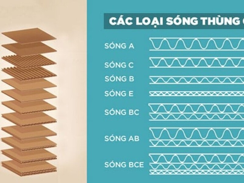 Cấu tạo và phân loại giấy carton