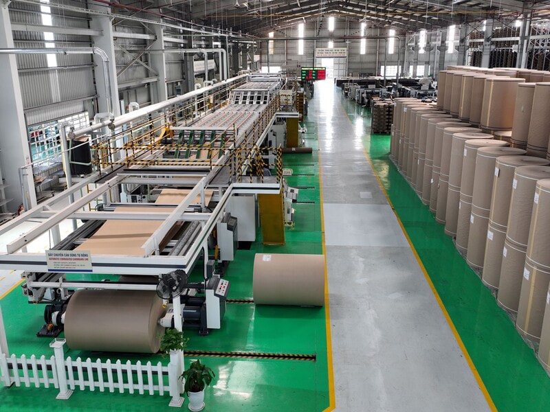 Hopcartondonghang – Nhà máy sản xuất bao bì đóng gói chuyên nghiệp hướng tới bền vững
