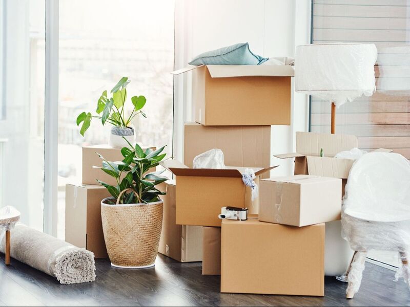 Ưu điểm nổi bật của hộp carton nắp đối khẩu 30x10x10cm