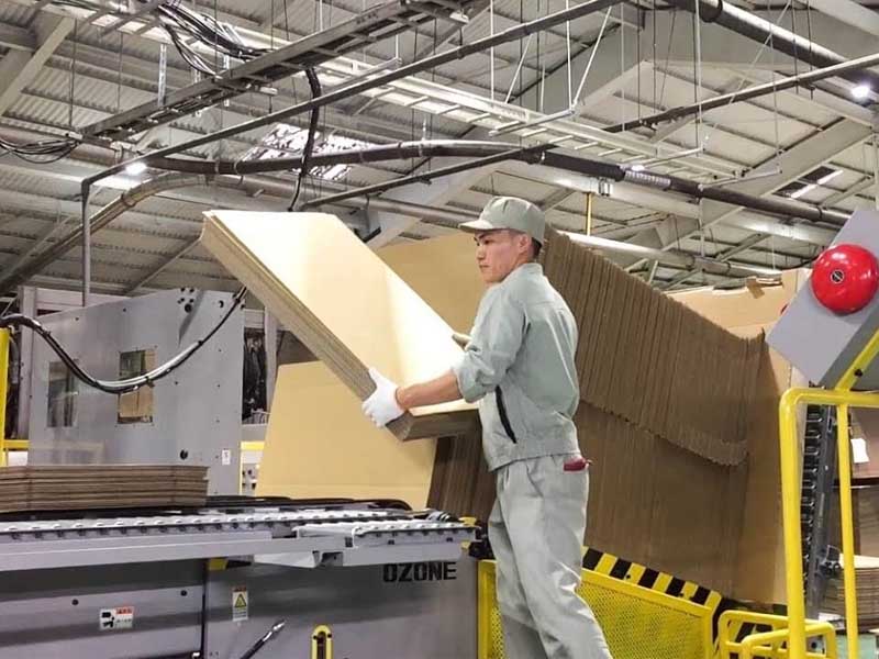 Nhà máy sản xuất hộp carton, thùng carton