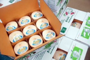 thùng carton đóng hàng xuất khẩu, thùng carton xuất khẩu hàng hóa, thùng carton đựng hàng xuất khẩu, thùng carton để đựng hàng xuất khẩu, thùng carton dùng để đựng hàng xuất khẩu, thùng carton đựng hàng hóa xuất khẩu, thùng carton để đựng hàng hóa xuất khẩu, thùng carton dùng để đựng hàng hóa xuất khẩu, thùng carton xuất khẩu hàng hóa đi mỹ, thùng carton xuất khẩu hàng hóa đi châu âu, thùng carton xuất khẩu hàng hóa đi nhật, thùng carton đựng hàng (đồ) thủ công mỹ nghệ xuất khẩu