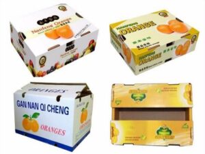 khay carton đựng nông sản, thùng đựng nông sản, thùng carton