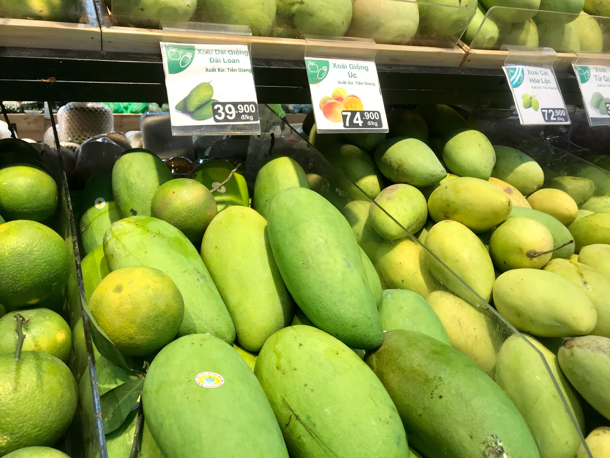 Xuất khẩu xoài sang Trung Quốc