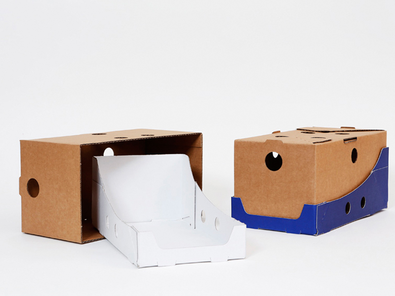 Lợi ích của RRP (Retail Ready Packaging)
