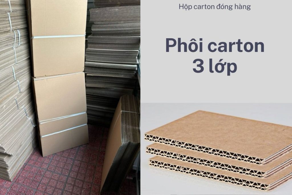 Phôi carton 3 lớp