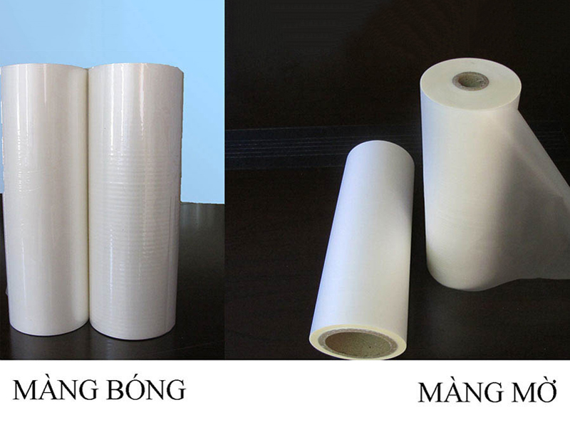 So sánh giấy cán mờ và giấy cán bóng