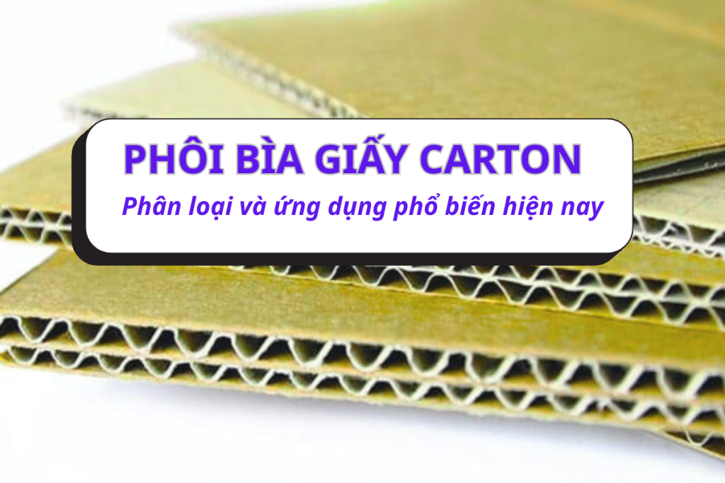 phoi bia giay carton