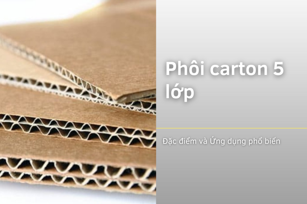 Phôi carton 5 lớp