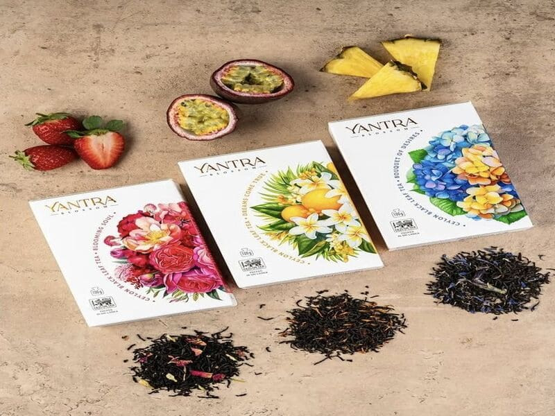 Các mẫu hộp đựng trà bằng giấy: Phân loại, ưu nhược điểm 12 Cách chọn hộp giấy đựng trà phù hợp
