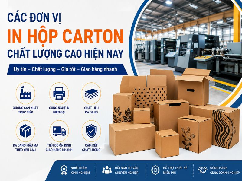 Các đơn vị in hộp carton chất lượng cao hiện nay