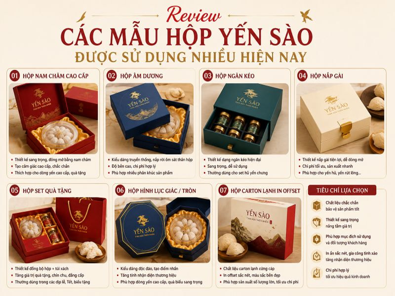 Review các mẫu hộp đựng yến sào được sử dụng nhiều hiện nay