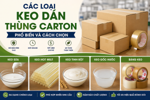 Các loại keo dán thùng carton phổ biến và cách chọn