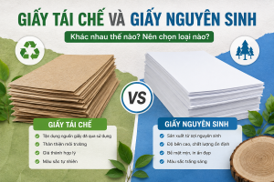 Giấy tái chế và giấy nguyên sinh