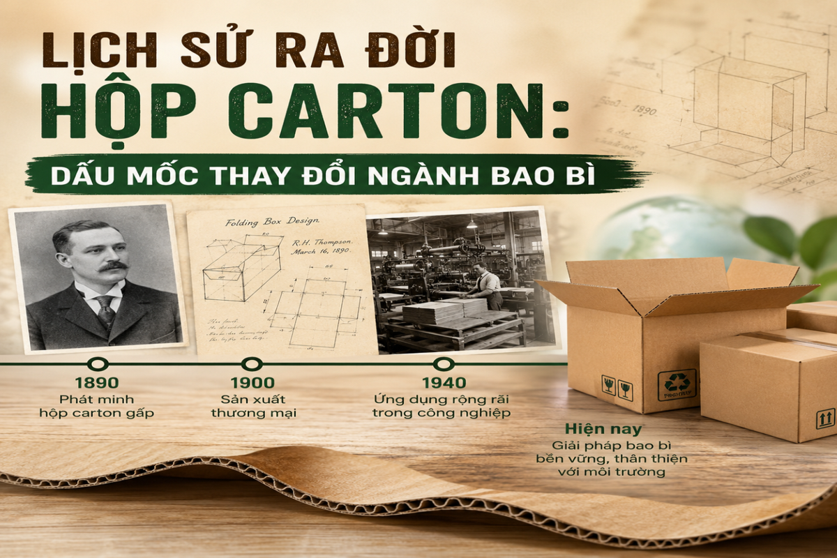 Lịch sử ra đời hộp carton Dấu mốc thay đổi ngành bao bì