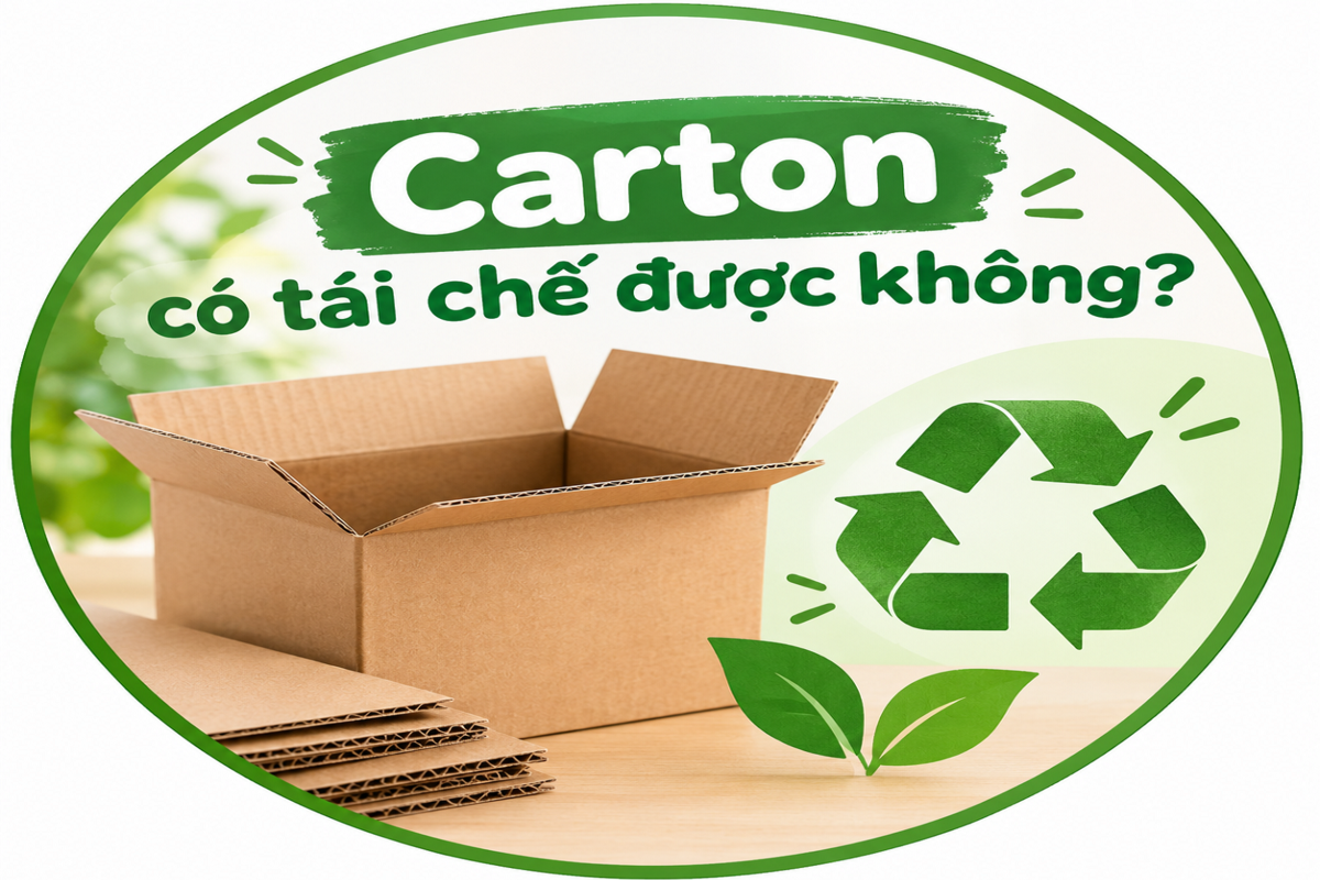 Carton có tái chế được không