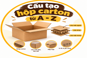 Cấu tạo hộp carton từ A - Z