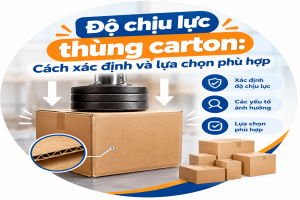 Độ chịu lực thùng carton Cách xác định và lựa chọn phù hợp