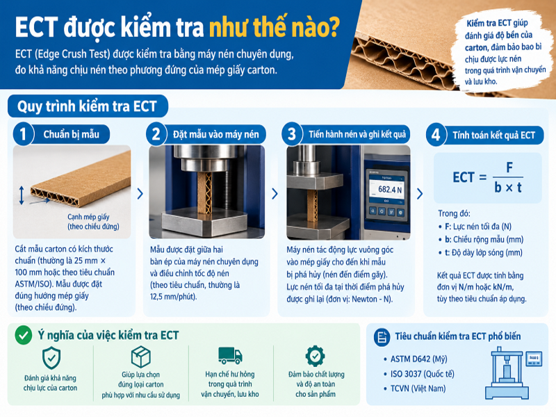 ECT được kiểm tra như thế nào?