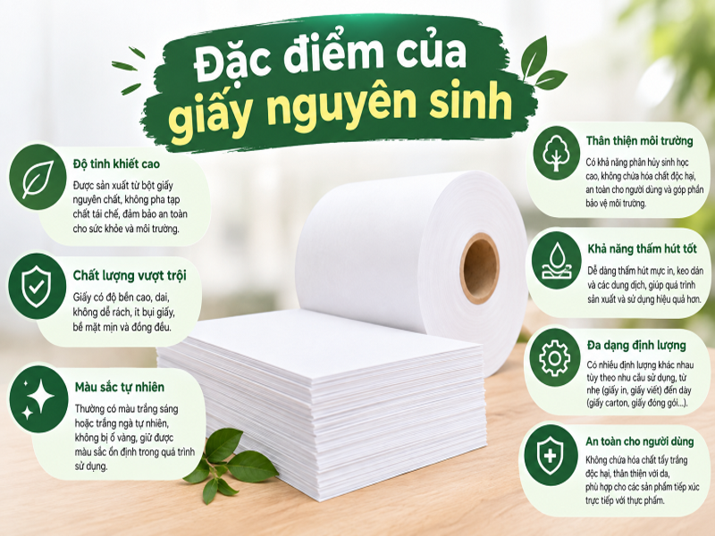 Giấy nguyên sinh là gì? Nguồn gốc, đặc điểm và công dụng 9 Đặc điểm của giấy nguyên sinh