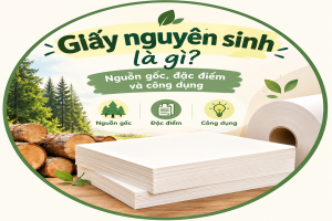 Giấy nguyên sinh là gì Nguồn gốc, đặc điểm và công dụng